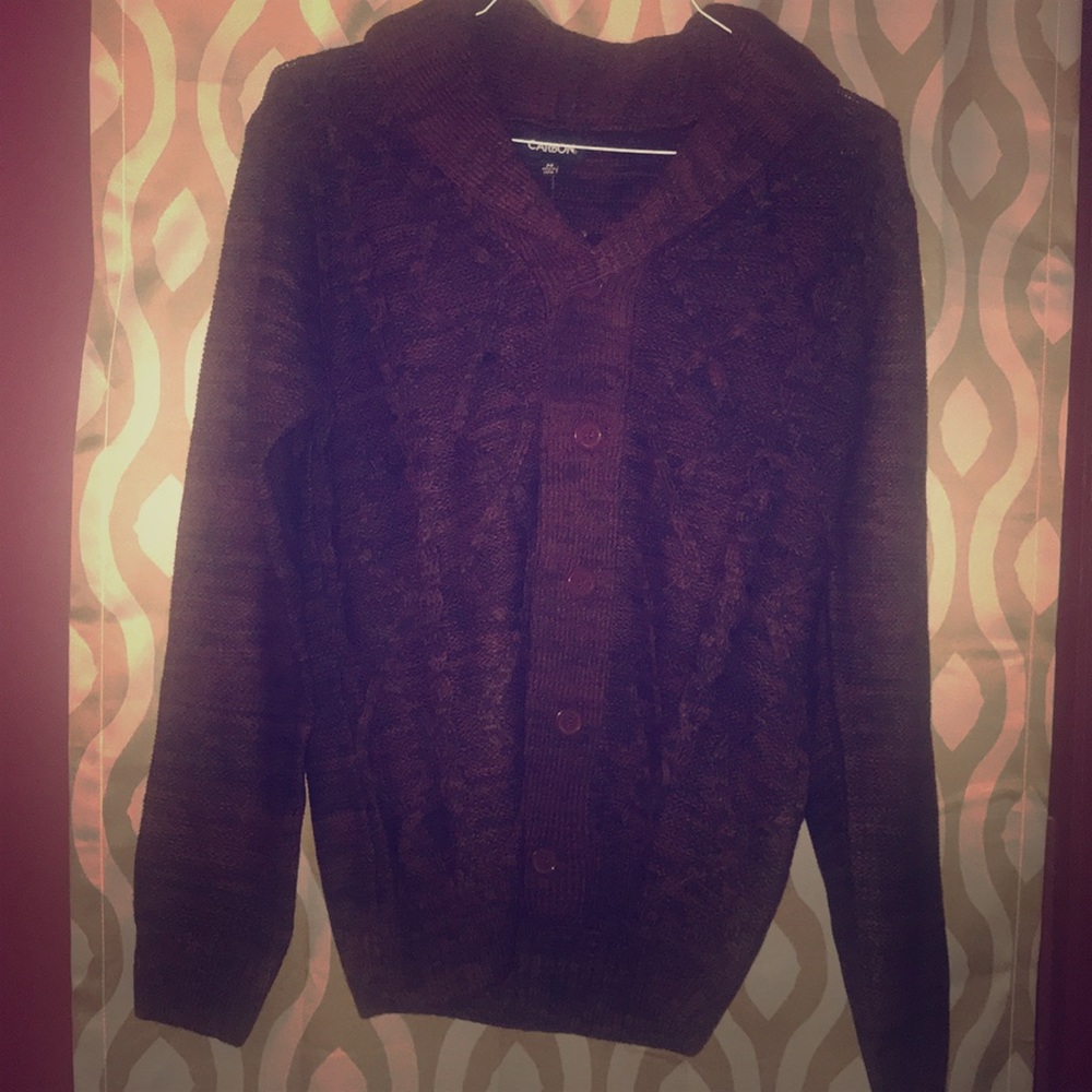 Cardigan sweater